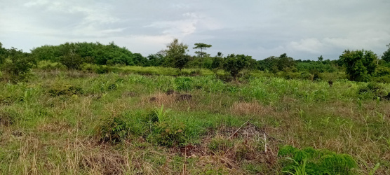 real estate; property, property for sale; property for lease; buying property in Raja Ampat;  buying property in West Papua; buying property in Indonesia; investment in Raja Ampat; investment in West Papua; investment in Indonesia; buy property in Indonesia; buy property in Raja Ampat; island for sale; island for lease;  Indonesia; Raja Ampat; West Papua; Yeben Kecil Island; Yeben; prodej pozemků; pozemky na prodej; prodej pozemků Indonésie; nemovitosti; nemovitost na prodej; ostrov na pronájem; investice Západní Papua; koupě nemovitostí Západní Papua; investice; ostrov; pronájem ostrova; land; pozemek; pozemky; Belitung; beach for sale; Sumba investment