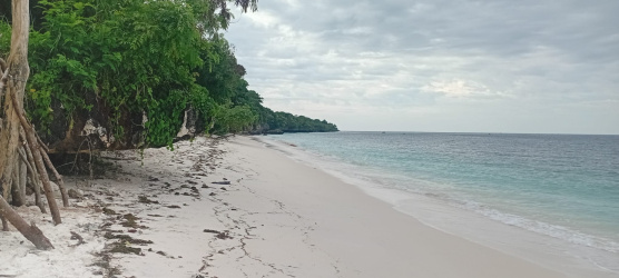 real estate; property, property for sale; property for lease; buying property in Raja Ampat;  buying property in West Papua; buying property in Indonesia; investment in Raja Ampat; investment in West Papua; investment in Indonesia; buy property in Indonesia; buy property in Raja Ampat; island for sale; island for lease;  Indonesia; Raja Ampat; West Papua; Yeben Kecil Island; Yeben; prodej pozemků; pozemky na prodej; prodej pozemků Indonésie; nemovitosti; nemovitost na prodej; ostrov na pronájem; investice Západní Papua; koupě nemovitostí Západní Papua; investice; ostrov; pronájem ostrova; land; pozemek; pozemky; Belitung; beach for sale; Sumba investment