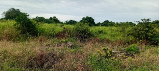 real estate; property, property for sale; property for lease; buying property in Raja Ampat;  buying property in West Papua; buying property in Indonesia; investment in Raja Ampat; investment in West Papua; investment in Indonesia; buy property in Indonesia; buy property in Raja Ampat; island for sale; island for lease;  Indonesia; Raja Ampat; West Papua; Yeben Kecil Island; Yeben; prodej pozemků; pozemky na prodej; prodej pozemků Indonésie; nemovitosti; nemovitost na prodej; ostrov na pronájem; investice Západní Papua; koupě nemovitostí Západní Papua; investice; ostrov; pronájem ostrova; land; pozemek; pozemky; Belitung; beach for sale; Sumba investment