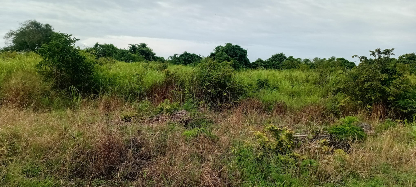 real estate; property, property for sale; property for lease; buying property in Raja Ampat;  buying property in West Papua; buying property in Indonesia; investment in Raja Ampat; investment in West Papua; investment in Indonesia; buy property in Indonesia; buy property in Raja Ampat; island for sale; island for lease;  Indonesia; Raja Ampat; West Papua; Yeben Kecil Island; Yeben; prodej pozemků; pozemky na prodej; prodej pozemků Indonésie; nemovitosti; nemovitost na prodej; ostrov na pronájem; investice Západní Papua; koupě nemovitostí Západní Papua; investice; ostrov; pronájem ostrova; land; pozemek; pozemky; Belitung; beach for sale; Sumba investment