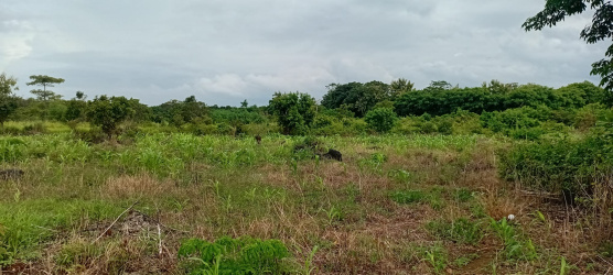 real estate; property, property for sale; property for lease; buying property in Raja Ampat;  buying property in West Papua; buying property in Indonesia; investment in Raja Ampat; investment in West Papua; investment in Indonesia; buy property in Indonesia; buy property in Raja Ampat; island for sale; island for lease;  Indonesia; Raja Ampat; West Papua; Yeben Kecil Island; Yeben; prodej pozemků; pozemky na prodej; prodej pozemků Indonésie; nemovitosti; nemovitost na prodej; ostrov na pronájem; investice Západní Papua; koupě nemovitostí Západní Papua; investice; ostrov; pronájem ostrova; land; pozemek; pozemky; Belitung; beach for sale; Sumba investment