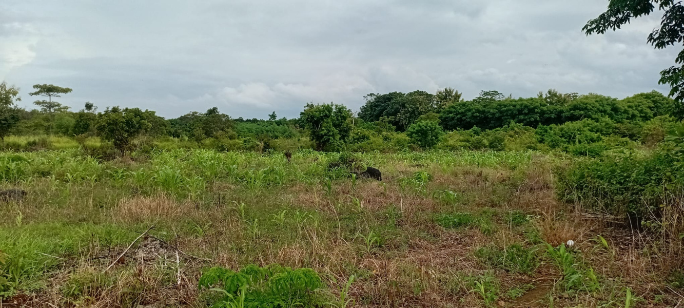 real estate; property, property for sale; property for lease; buying property in Raja Ampat;  buying property in West Papua; buying property in Indonesia; investment in Raja Ampat; investment in West Papua; investment in Indonesia; buy property in Indonesia; buy property in Raja Ampat; island for sale; island for lease;  Indonesia; Raja Ampat; West Papua; Yeben Kecil Island; Yeben; prodej pozemků; pozemky na prodej; prodej pozemků Indonésie; nemovitosti; nemovitost na prodej; ostrov na pronájem; investice Západní Papua; koupě nemovitostí Západní Papua; investice; ostrov; pronájem ostrova; land; pozemek; pozemky; Belitung; beach for sale; Sumba investment