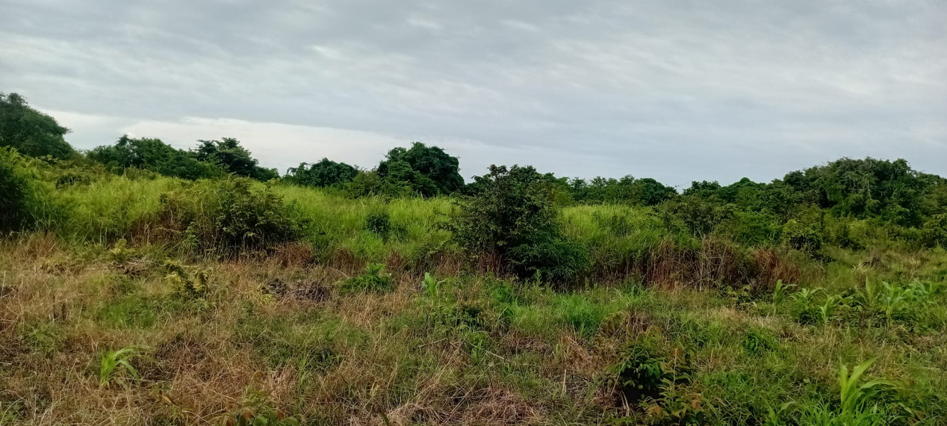 real estate; property, property for sale; property for lease; buying property in Raja Ampat;  buying property in West Papua; buying property in Indonesia; investment in Raja Ampat; investment in West Papua; investment in Indonesia; buy property in Indonesia; buy property in Raja Ampat; island for sale; island for lease;  Indonesia; Raja Ampat; West Papua; Yeben Kecil Island; Yeben; prodej pozemků; pozemky na prodej; prodej pozemků Indonésie; nemovitosti; nemovitost na prodej; ostrov na pronájem; investice Západní Papua; koupě nemovitostí Západní Papua; investice; ostrov; pronájem ostrova; land; pozemek; pozemky; Belitung; beach for sale; Sumba investment