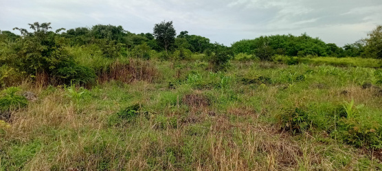 real estate; property, property for sale; property for lease; buying property in Raja Ampat;  buying property in West Papua; buying property in Indonesia; investment in Raja Ampat; investment in West Papua; investment in Indonesia; buy property in Indonesia; buy property in Raja Ampat; island for sale; island for lease;  Indonesia; Raja Ampat; West Papua; Yeben Kecil Island; Yeben; prodej pozemků; pozemky na prodej; prodej pozemků Indonésie; nemovitosti; nemovitost na prodej; ostrov na pronájem; investice Západní Papua; koupě nemovitostí Západní Papua; investice; ostrov; pronájem ostrova; land; pozemek; pozemky; Belitung; beach for sale; Sumba investment