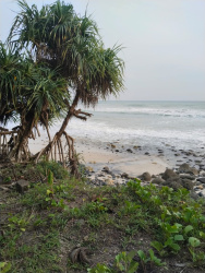 real estate; property, property for sale; property for lease; buying property in Raja Ampat;  buying property in West Papua; buying property in Indonesia; investment in Raja Ampat; investment in West Papua; investment in Indonesia; buy property in Indonesia; buy property in Raja Ampat; island for sale; island for lease;  Indonesia; Raja Ampat; West Papua; Yeben Kecil Island; Yeben; prodej pozemků; pozemky na prodej; prodej pozemků Indonésie; nemovitosti; nemovitost na prodej; ostrov na pronájem; investice Západní Papua; koupě nemovitostí Západní Papua; investice; ostrov; pronájem ostrova; land; pozemek; pozemky; Belitung; sumba investment, beach for sale, beach bali for sale