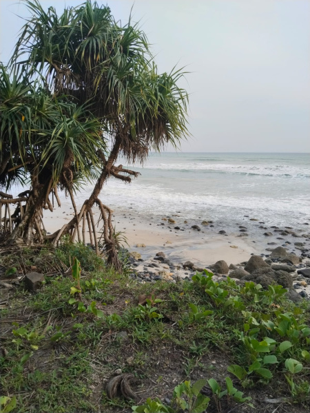 real estate; property, property for sale; property for lease; buying property in Raja Ampat;  buying property in West Papua; buying property in Indonesia; investment in Raja Ampat; investment in West Papua; investment in Indonesia; buy property in Indonesia; buy property in Raja Ampat; island for sale; island for lease;  Indonesia; Raja Ampat; West Papua; Yeben Kecil Island; Yeben; prodej pozemků; pozemky na prodej; prodej pozemků Indonésie; nemovitosti; nemovitost na prodej; ostrov na pronájem; investice Západní Papua; koupě nemovitostí Západní Papua; investice; ostrov; pronájem ostrova; land; pozemek; pozemky; Belitung; sumba investment, beach for sale, beach bali for sale