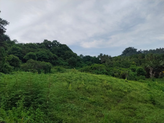 real estate; property, property for sale; property for lease; buying property in Raja Ampat;  buying property in West Papua; buying property in Indonesia; investment in Raja Ampat; investment in West Papua; investment in Indonesia; buy property in Indonesia; buy property in Raja Ampat; island for sale; island for lease;  Indonesia; Raja Ampat; West Papua; Yeben Kecil Island; Yeben; prodej pozemků; pozemky na prodej; prodej pozemků Indonésie; nemovitosti; nemovitost na prodej; ostrov na pronájem; investice Západní Papua; koupě nemovitostí Západní Papua; investice; ostrov; pronájem ostrova; land; pozemek; pozemky; Belitung; sumba investment, beach for sale, beach bali for sale