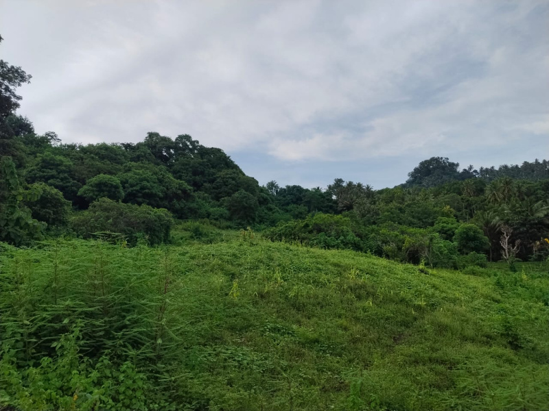 real estate; property, property for sale; property for lease; buying property in Raja Ampat;  buying property in West Papua; buying property in Indonesia; investment in Raja Ampat; investment in West Papua; investment in Indonesia; buy property in Indonesia; buy property in Raja Ampat; island for sale; island for lease;  Indonesia; Raja Ampat; West Papua; Yeben Kecil Island; Yeben; prodej pozemků; pozemky na prodej; prodej pozemků Indonésie; nemovitosti; nemovitost na prodej; ostrov na pronájem; investice Západní Papua; koupě nemovitostí Západní Papua; investice; ostrov; pronájem ostrova; land; pozemek; pozemky; Belitung; sumba investment, beach for sale, beach bali for sale