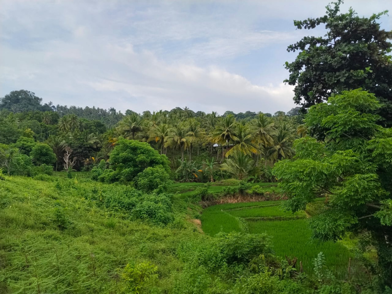 real estate; property, property for sale; property for lease; buying property in Raja Ampat;  buying property in West Papua; buying property in Indonesia; investment in Raja Ampat; investment in West Papua; investment in Indonesia; buy property in Indonesia; buy property in Raja Ampat; island for sale; island for lease;  Indonesia; Raja Ampat; West Papua; Yeben Kecil Island; Yeben; prodej pozemků; pozemky na prodej; prodej pozemků Indonésie; nemovitosti; nemovitost na prodej; ostrov na pronájem; investice Západní Papua; koupě nemovitostí Západní Papua; investice; ostrov; pronájem ostrova; land; pozemek; pozemky; Belitung; sumba investment, beach for sale, beach bali for sale