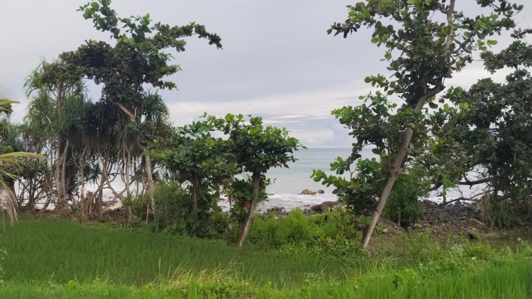 real estate; property, property for sale; property for lease; buying property in Raja Ampat;  buying property in West Papua; buying property in Indonesia; investment in Raja Ampat; investment in West Papua; investment in Indonesia; buy property in Indonesia; buy property in Raja Ampat; island for sale; island for lease;  Indonesia; Raja Ampat; West Papua; Yeben Kecil Island; Yeben; prodej pozemků; pozemky na prodej; prodej pozemků Indonésie; nemovitosti; nemovitost na prodej; ostrov na pronájem; investice Západní Papua; koupě nemovitostí Západní Papua; investice; ostrov; pronájem ostrova; land; pozemek; pozemky; Belitung; sumba investment, beach for sale, beach bali for sale