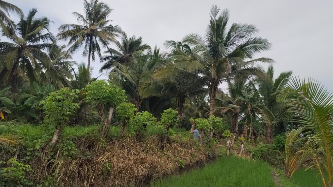 real estate; property, property for sale; property for lease; buying property in Raja Ampat;  buying property in West Papua; buying property in Indonesia; investment in Raja Ampat; investment in West Papua; investment in Indonesia; buy property in Indonesia; buy property in Raja Ampat; island for sale; island for lease;  Indonesia; Raja Ampat; West Papua; Yeben Kecil Island; Yeben; prodej pozemků; pozemky na prodej; prodej pozemků Indonésie; nemovitosti; nemovitost na prodej; ostrov na pronájem; investice Západní Papua; koupě nemovitostí Západní Papua; investice; ostrov; pronájem ostrova; land; pozemek; pozemky; Belitung; sumba investment, beach for sale, beach bali for sale