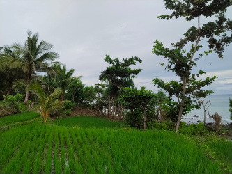 real estate; property, property for sale; property for lease; buying property in Raja Ampat;  buying property in West Papua; buying property in Indonesia; investment in Raja Ampat; investment in West Papua; investment in Indonesia; buy property in Indonesia; buy property in Raja Ampat; island for sale; island for lease;  Indonesia; Raja Ampat; West Papua; Yeben Kecil Island; Yeben; prodej pozemků; pozemky na prodej; prodej pozemků Indonésie; nemovitosti; nemovitost na prodej; ostrov na pronájem; investice Západní Papua; koupě nemovitostí Západní Papua; investice; ostrov; pronájem ostrova; land; pozemek; pozemky; Belitung; sumba investment, beach for sale, beach bali for sale