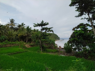 real estate; property, property for sale; property for lease; buying property in Raja Ampat;  buying property in West Papua; buying property in Indonesia; investment in Raja Ampat; investment in West Papua; investment in Indonesia; buy property in Indonesia; buy property in Raja Ampat; island for sale; island for lease;  Indonesia; Raja Ampat; West Papua; Yeben Kecil Island; Yeben; prodej pozemků; pozemky na prodej; prodej pozemků Indonésie; nemovitosti; nemovitost na prodej; ostrov na pronájem; investice Západní Papua; koupě nemovitostí Západní Papua; investice; ostrov; pronájem ostrova; land; pozemek; pozemky; Belitung; sumba investment, beach for sale, beach bali for sale