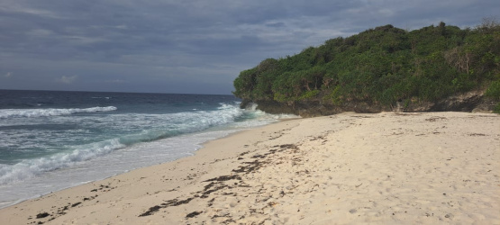 real estate; property, property for sale; property for lease; buying property in Hamili Ate Beach;  buying property in Hamili Ate Beach; buying property in Indonesia; investment in Hamili Ate Beach; investment in West Papua; investment in Indonesia; buy property in Indonesia; buy property in Raja Ampat; island for sale; island for lease;  Indonesia; Raja Ampat; West Papua; Yeben Kecil Island; Yeben; prodej pozemků; pozemky na prodej; prodej pozemků Indonésie; nemovitosti; nemovitost na prodej; ostrov na pronájem; investice Hamili Ate Beach, koupě nemovitostíH amili Ate Beach; investice; ostrov; pronájem ostrova; land; pozemek; pozemky; Belitung; sumba investment, beach for sale, beach bali for sale, pantai hamili ate