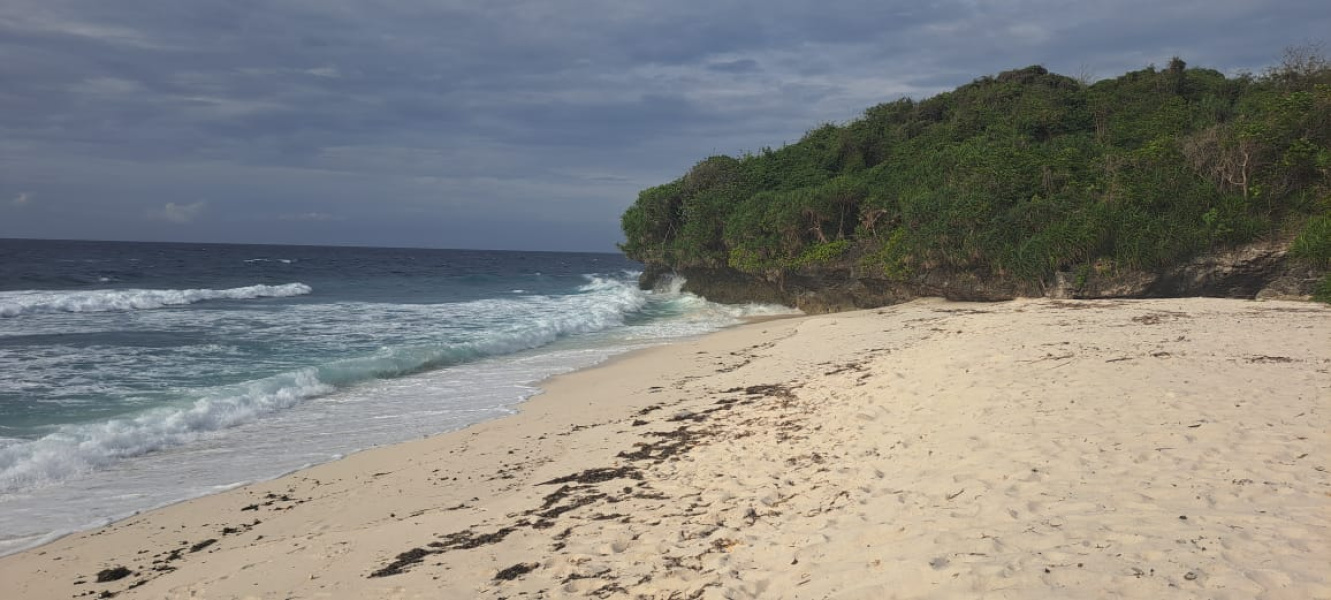 real estate; property, property for sale; property for lease; buying property in Hamili Ate Beach;  buying property in Hamili Ate Beach; buying property in Indonesia; investment in Hamili Ate Beach; investment in West Papua; investment in Indonesia; buy property in Indonesia; buy property in Raja Ampat; island for sale; island for lease;  Indonesia; Raja Ampat; West Papua; Yeben Kecil Island; Yeben; prodej pozemků; pozemky na prodej; prodej pozemků Indonésie; nemovitosti; nemovitost na prodej; ostrov na pronájem; investice Hamili Ate Beach, koupě nemovitostíH amili Ate Beach; investice; ostrov; pronájem ostrova; land; pozemek; pozemky; Belitung; sumba investment, beach for sale, beach bali for sale, pantai hamili ate