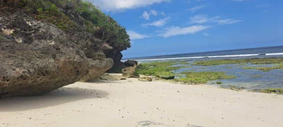 real estate; property, property for sale; property for lease; buying property in Hamili Ate Beach;  buying property in Hamili Ate Beach; buying property in Indonesia; investment in Hamili Ate Beach; investment in West Papua; investment in Indonesia; buy property in Indonesia; buy property in Raja Ampat; island for sale; island for lease;  Indonesia; Raja Ampat; West Papua; Yeben Kecil Island; Yeben; prodej pozemků; pozemky na prodej; prodej pozemků Indonésie; nemovitosti; nemovitost na prodej; ostrov na pronájem; investice Hamili Ate Beach, koupě nemovitostíH amili Ate Beach; investice; ostrov; pronájem ostrova; land; pozemek; pozemky; Belitung; sumba investment, beach for sale, beach bali for sale, pantai hamili ate