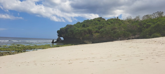 real estate; property, property for sale; property for lease; buying property in Hamili Ate Beach;  buying property in Hamili Ate Beach; buying property in Indonesia; investment in Hamili Ate Beach; investment in West Papua; investment in Indonesia; buy property in Indonesia; buy property in Raja Ampat; island for sale; island for lease;  Indonesia; Raja Ampat; West Papua; Yeben Kecil Island; Yeben; prodej pozemků; pozemky na prodej; prodej pozemků Indonésie; nemovitosti; nemovitost na prodej; ostrov na pronájem; investice Hamili Ate Beach, koupě nemovitostíH amili Ate Beach; investice; ostrov; pronájem ostrova; land; pozemek; pozemky; Belitung; sumba investment, beach for sale, beach bali for sale, pantai hamili ate