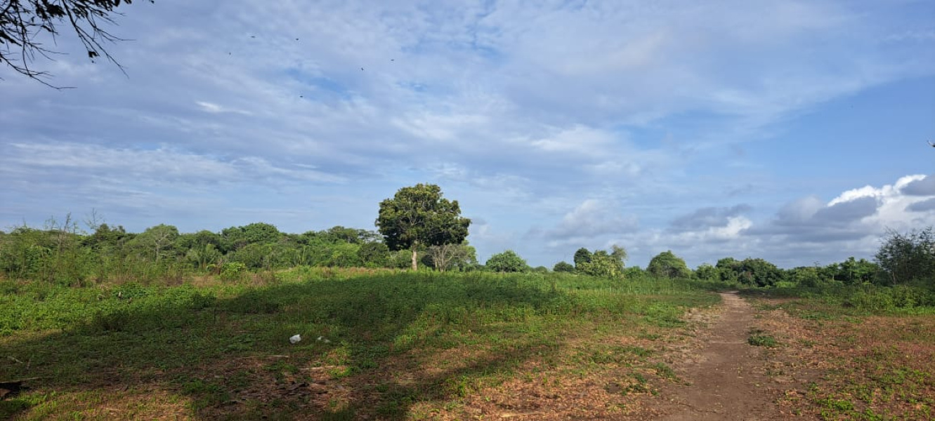 real estate; property, property for sale; property for lease; buying property in Hamili Ate Beach;  buying property in Hamili Ate Beach; buying property in Indonesia; investment in Hamili Ate Beach; investment in West Papua; investment in Indonesia; buy property in Indonesia; buy property in Raja Ampat; island for sale; island for lease;  Indonesia; Raja Ampat; West Papua; Yeben Kecil Island; Yeben; prodej pozemků; pozemky na prodej; prodej pozemků Indonésie; nemovitosti; nemovitost na prodej; ostrov na pronájem; investice Hamili Ate Beach, koupě nemovitostíH amili Ate Beach; investice; ostrov; pronájem ostrova; land; pozemek; pozemky; Belitung; sumba investment, beach for sale, beach bali for sale, pantai hamili ate