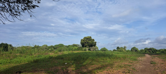 real estate; property, property for sale; property for lease; buying property in Hamili Ate Beach;  buying property in Hamili Ate Beach; buying property in Indonesia; investment in Hamili Ate Beach; investment in West Papua; investment in Indonesia; buy property in Indonesia; buy property in Raja Ampat; island for sale; island for lease;  Indonesia; Raja Ampat; West Papua; Yeben Kecil Island; Yeben; prodej pozemků; pozemky na prodej; prodej pozemků Indonésie; nemovitosti; nemovitost na prodej; ostrov na pronájem; investice Hamili Ate Beach, koupě nemovitostíH amili Ate Beach; investice; ostrov; pronájem ostrova; land; pozemek; pozemky; Belitung; sumba investment, beach for sale, beach bali for sale, pantai hamili ate