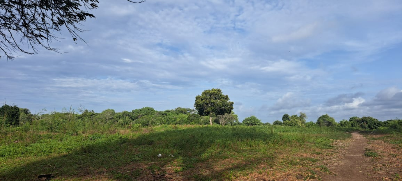 real estate; property, property for sale; property for lease; buying property in Hamili Ate Beach;  buying property in Hamili Ate Beach; buying property in Indonesia; investment in Hamili Ate Beach; investment in West Papua; investment in Indonesia; buy property in Indonesia; buy property in Raja Ampat; island for sale; island for lease;  Indonesia; Raja Ampat; West Papua; Yeben Kecil Island; Yeben; prodej pozemků; pozemky na prodej; prodej pozemků Indonésie; nemovitosti; nemovitost na prodej; ostrov na pronájem; investice Hamili Ate Beach, koupě nemovitostíH amili Ate Beach; investice; ostrov; pronájem ostrova; land; pozemek; pozemky; Belitung; sumba investment, beach for sale, beach bali for sale, pantai hamili ate