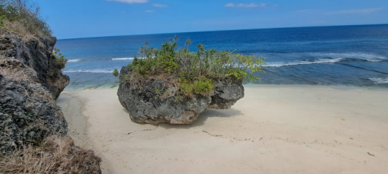 real estate; property, property for sale; property for lease; buying property in Hamili Ate Beach;  buying property in Hamili Ate Beach; buying property in Indonesia; investment in Hamili Ate Beach; investment in West Papua; investment in Indonesia; buy property in Indonesia; buy property in Raja Ampat; island for sale; island for lease;  Indonesia; Raja Ampat; West Papua; Yeben Kecil Island; Yeben; prodej pozemků; pozemky na prodej; prodej pozemků Indonésie; nemovitosti; nemovitost na prodej; ostrov na pronájem; investice Hamili Ate Beach, koupě nemovitostíH amili Ate Beach; investice; ostrov; pronájem ostrova; land; pozemek; pozemky; Belitung; sumba investment, beach for sale, beach bali for sale, pantai hamili ate