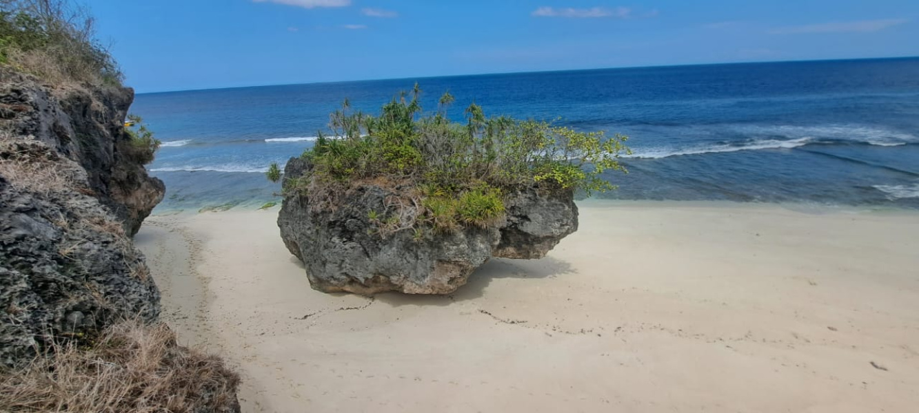 real estate; property, property for sale; property for lease; buying property in Hamili Ate Beach;  buying property in Hamili Ate Beach; buying property in Indonesia; investment in Hamili Ate Beach; investment in West Papua; investment in Indonesia; buy property in Indonesia; buy property in Raja Ampat; island for sale; island for lease;  Indonesia; Raja Ampat; West Papua; Yeben Kecil Island; Yeben; prodej pozemků; pozemky na prodej; prodej pozemků Indonésie; nemovitosti; nemovitost na prodej; ostrov na pronájem; investice Hamili Ate Beach, koupě nemovitostíH amili Ate Beach; investice; ostrov; pronájem ostrova; land; pozemek; pozemky; Belitung; sumba investment, beach for sale, beach bali for sale, pantai hamili ate