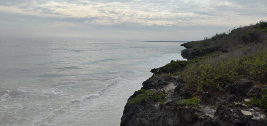 real estate; property, property for sale; property for lease; buying property in sumba; buying property in Indonesia; investment in sumba; investment in sumba; investment in Indonesia; buy property in Indonesia; buy property in sumba; beach for sale; island for lease;  Indonesia; Raja Ampat; West Papua; Yeben Kecil Island; sumba; prodej pozemků; pozemky na prodej; prodej pozemků Indonésie; nemovitosti; nemovitost na prodej; ostrov na pronájem; investice Hamili Ate Beach, koupě nemovitostíH amili Ate Beach; investice; ostrov; pronájem ostrova; land; pozemek; pozemky; Belitung; sumba investment; beach for sale; Kawona Beach for sale