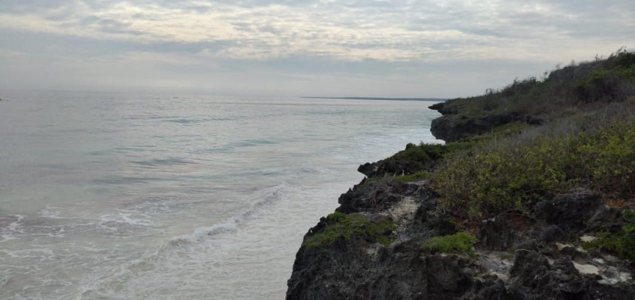 real estate; property, property for sale; property for lease; buying property in sumba; buying property in Indonesia; investment in sumba; investment in sumba; investment in Indonesia; buy property in Indonesia; buy property in sumba; beach for sale; island for lease;  Indonesia; Raja Ampat; West Papua; Yeben Kecil Island; sumba; prodej pozemků; pozemky na prodej; prodej pozemků Indonésie; nemovitosti; nemovitost na prodej; ostrov na pronájem; investice Hamili Ate Beach, koupě nemovitostíH amili Ate Beach; investice; ostrov; pronájem ostrova; land; pozemek; pozemky; Belitung; sumba investment; beach for sale; Kawona Beach for sale