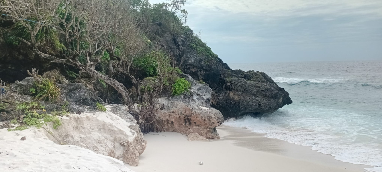 real estate; property, property for sale; property for lease; buying property in sumba; buying property in Indonesia; investment in sumba; investment in sumba; investment in Indonesia; buy property in Indonesia; buy property in sumba; beach for sale; island for lease;  Indonesia; Raja Ampat; West Papua; Yeben Kecil Island; sumba; prodej pozemků; pozemky na prodej; prodej pozemků Indonésie; nemovitosti; nemovitost na prodej; ostrov na pronájem; investice Hamili Ate Beach, koupě nemovitostíH amili Ate Beach; investice; ostrov; pronájem ostrova; land; pozemek; pozemky; Belitung; sumba investment; beach for sale; Kawona Beach for sale