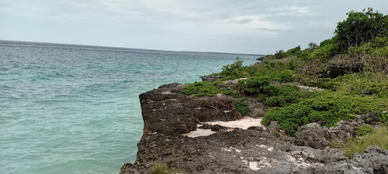 real estate; property, property for sale; property for lease; buying property in sumba; buying property in Indonesia; investment in sumba; investment in sumba; investment in Indonesia; buy property in Indonesia; buy property in sumba; beach for sale; island for lease;  Indonesia; Raja Ampat; West Papua; Yeben Kecil Island; sumba; prodej pozemků; pozemky na prodej; prodej pozemků Indonésie; nemovitosti; nemovitost na prodej; ostrov na pronájem; investice Hamili Ate Beach, koupě nemovitostíH amili Ate Beach; investice; ostrov; pronájem ostrova; land; pozemek; pozemky; Belitung; sumba investment; beach for sale; Kawona Beach for sale