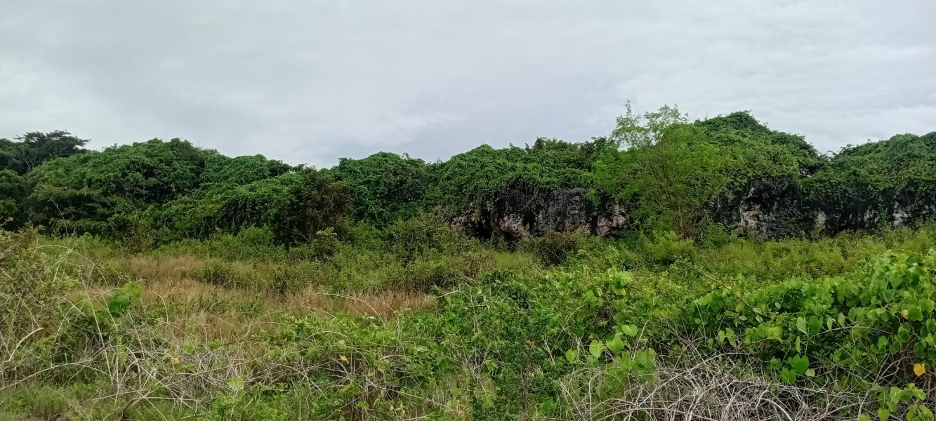 real estate; property, property for sale; property for lease; buying property in sumba; buying property in Indonesia; investment in sumba; investment in sumba; investment in Indonesia; buy property in Indonesia; buy property in sumba; beach for sale; island for lease;  Indonesia; Raja Ampat; West Papua; Yeben Kecil Island; sumba; prodej pozemků; pozemky na prodej; prodej pozemků Indonésie; nemovitosti; nemovitost na prodej; ostrov na pronájem; investice Hamili Ate Beach, koupě nemovitostíH amili Ate Beach; investice; ostrov; pronájem ostrova; land; pozemek; pozemky; Belitung; sumba investment; beach for sale; Kawona Beach for sale