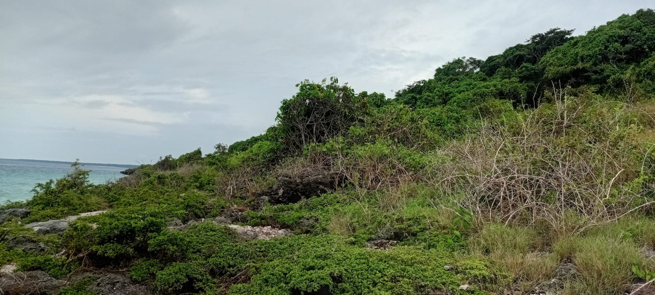 real estate; property, property for sale; property for lease; buying property in sumba; buying property in Indonesia; investment in sumba; investment in sumba; investment in Indonesia; buy property in Indonesia; buy property in sumba; beach for sale; island for lease;  Indonesia; Raja Ampat; West Papua; Yeben Kecil Island; sumba; prodej pozemků; pozemky na prodej; prodej pozemků Indonésie; nemovitosti; nemovitost na prodej; ostrov na pronájem; investice Hamili Ate Beach, koupě nemovitostíH amili Ate Beach; investice; ostrov; pronájem ostrova; land; pozemek; pozemky; Belitung; sumba investment; beach for sale; Kawona Beach for sale