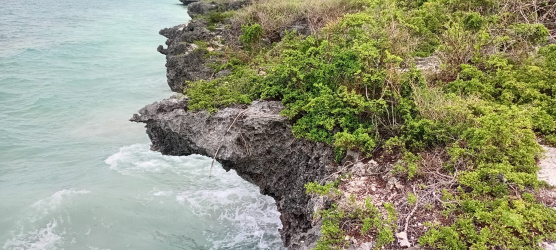 real estate; property, property for sale; property for lease; buying property in sumba; buying property in Indonesia; investment in sumba; investment in sumba; investment in Indonesia; buy property in Indonesia; buy property in sumba; beach for sale; island for lease;  Indonesia; Raja Ampat; West Papua; Yeben Kecil Island; sumba; prodej pozemků; pozemky na prodej; prodej pozemků Indonésie; nemovitosti; nemovitost na prodej; ostrov na pronájem; investice Hamili Ate Beach, koupě nemovitostíH amili Ate Beach; investice; ostrov; pronájem ostrova; land; pozemek; pozemky; Belitung; sumba investment; beach for sale; Kawona Beach for sale