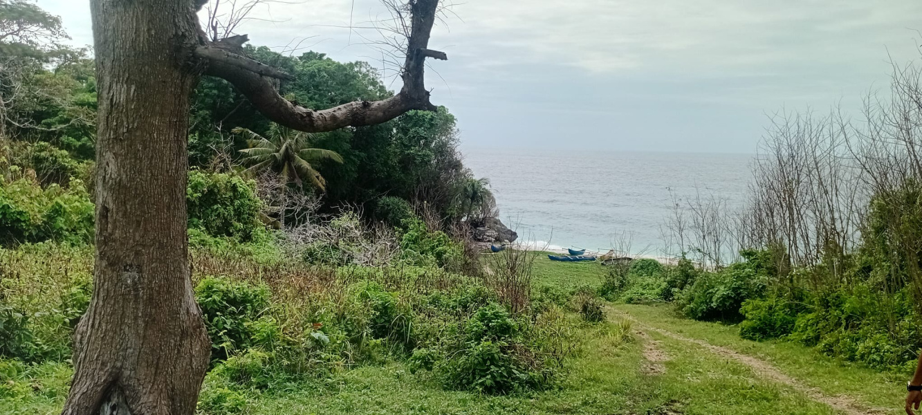 real estate; property, property for sale; property for lease; buying property in sumba; buying property in Indonesia; investment in sumba; investment in sumba; investment in Indonesia; buy property in Indonesia; buy property in sumba; beach for sale; island for lease;  Indonesia; Raja Ampat; West Papua; Yeben Kecil Island; sumba; prodej pozemků; pozemky na prodej; prodej pozemků Indonésie; nemovitosti; nemovitost na prodej; ostrov na pronájem; investice Hamili Ate Beach, koupě nemovitostíH amili Ate Beach; investice; ostrov; pronájem ostrova; land; pozemek; pozemky; Belitung; sumba investment; beach for sale; Kawona Beach for sale