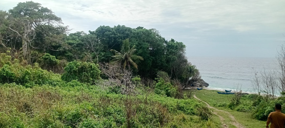 real estate; property, property for sale; property for lease; buying property in sumba; buying property in Indonesia; investment in sumba; investment in sumba; investment in Indonesia; buy property in Indonesia; buy property in sumba; beach for sale; island for lease;  Indonesia; Raja Ampat; West Papua; Yeben Kecil Island; sumba; prodej pozemků; pozemky na prodej; prodej pozemků Indonésie; nemovitosti; nemovitost na prodej; ostrov na pronájem; investice Hamili Ate Beach, koupě nemovitostíH amili Ate Beach; investice; ostrov; pronájem ostrova; land; pozemek; pozemky; Belitung; sumba investment; beach for sale; Kawona Beach for sale