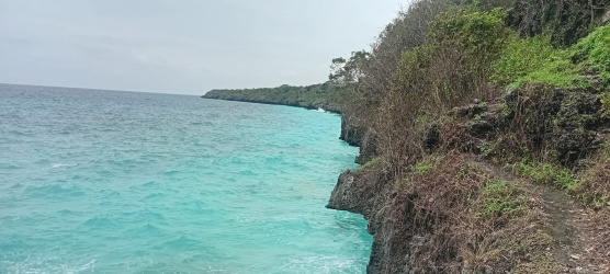 real estate; property, property for sale; property for lease; buying property in sumba; buying property in Indonesia; investment in sumba; investment in sumba; investment in Indonesia; buy property in Indonesia; buy property in sumba; beach for sale; island for lease;  Indonesia; Raja Ampat; West Papua; Yeben Kecil Island; sumba; prodej pozemků; pozemky na prodej; prodej pozemků Indonésie; nemovitosti; nemovitost na prodej; ostrov na pronájem; investice Hamili Ate Beach, koupě nemovitostíH amili Ate Beach; investice; ostrov; pronájem ostrova; land; pozemek; pozemky; Belitung; sumba investment; beach for sale; Bukambero Beach for sale