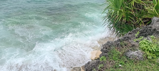 real estate; property, property for sale; property for lease; buying property in sumba; buying property in Indonesia; investment in sumba; investment in sumba; investment in Indonesia; buy property in Indonesia; buy property in sumba; beach for sale; island for lease;  Indonesia; Raja Ampat; West Papua; Yeben Kecil Island; sumba; prodej pozemků; pozemky na prodej; prodej pozemků Indonésie; nemovitosti; nemovitost na prodej; ostrov na pronájem; investice Hamili Ate Beach, koupě nemovitostíH amili Ate Beach; investice; ostrov; pronájem ostrova; land; pozemek; pozemky; Belitung; sumba investment; beach for sale; Bukambero Beach for sale