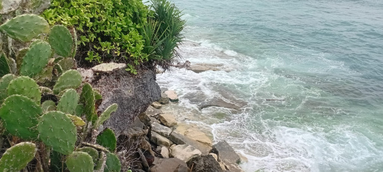 real estate; property, property for sale; property for lease; buying property in sumba; buying property in Indonesia; investment in sumba; investment in sumba; investment in Indonesia; buy property in Indonesia; buy property in sumba; beach for sale; island for lease;  Indonesia; Raja Ampat; West Papua; Yeben Kecil Island; sumba; prodej pozemků; pozemky na prodej; prodej pozemků Indonésie; nemovitosti; nemovitost na prodej; ostrov na pronájem; investice Hamili Ate Beach, koupě nemovitostíH amili Ate Beach; investice; ostrov; pronájem ostrova; land; pozemek; pozemky; Belitung; sumba investment; beach for sale; Bukambero Beach for sale