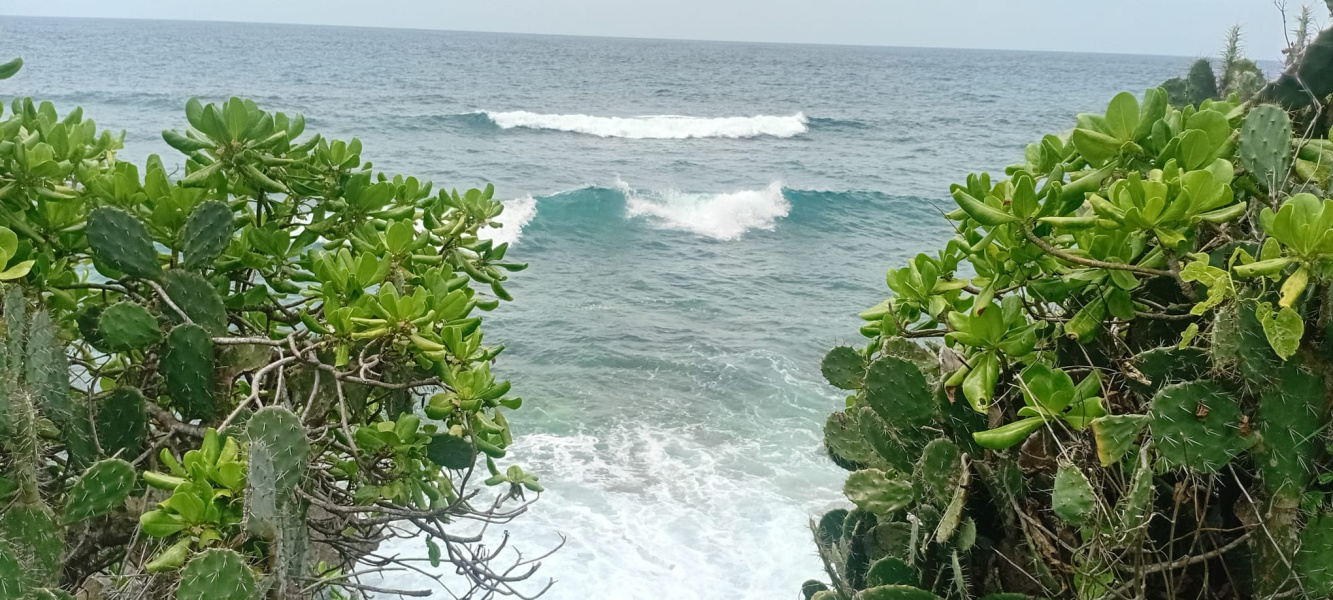 real estate; property, property for sale; property for lease; buying property in sumba; buying property in Indonesia; investment in sumba; investment in sumba; investment in Indonesia; buy property in Indonesia; buy property in sumba; beach for sale; island for lease;  Indonesia; Raja Ampat; West Papua; Yeben Kecil Island; sumba; prodej pozemků; pozemky na prodej; prodej pozemků Indonésie; nemovitosti; nemovitost na prodej; ostrov na pronájem; investice Hamili Ate Beach, koupě nemovitostíH amili Ate Beach; investice; ostrov; pronájem ostrova; land; pozemek; pozemky; Belitung; sumba investment; beach for sale; Bukambero Beach for sale