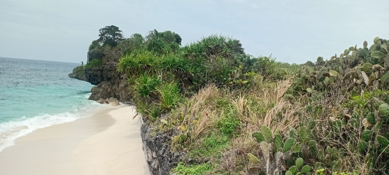 real estate; property, property for sale; property for lease; buying property in sumba; buying property in Indonesia; investment in sumba; investment in sumba; investment in Indonesia; buy property in Indonesia; buy property in sumba; beach for sale; island for lease;  Indonesia; Raja Ampat; West Papua; Yeben Kecil Island; sumba; prodej pozemků; pozemky na prodej; prodej pozemků Indonésie; nemovitosti; nemovitost na prodej; ostrov na pronájem; investice Hamili Ate Beach, koupě nemovitostíH amili Ate Beach; investice; ostrov; pronájem ostrova; land; pozemek; pozemky; Belitung; sumba investment; beach for sale; Bukambero Beach for sale