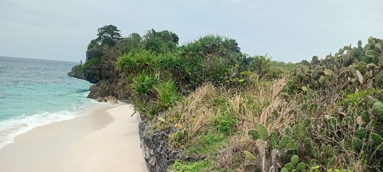 real estate; property, property for sale; property for lease; buying property in sumba; buying property in Indonesia; investment in sumba; investment in sumba; investment in Indonesia; buy property in Indonesia; buy property in sumba; beach for sale; island for lease;  Indonesia; Raja Ampat; West Papua; Yeben Kecil Island; sumba; prodej pozemků; pozemky na prodej; prodej pozemků Indonésie; nemovitosti; nemovitost na prodej; ostrov na pronájem; investice Hamili Ate Beach, koupě nemovitostíH amili Ate Beach; investice; ostrov; pronájem ostrova; land; pozemek; pozemky; Belitung; sumba investment; beach for sale; Bukambero Beach for sale