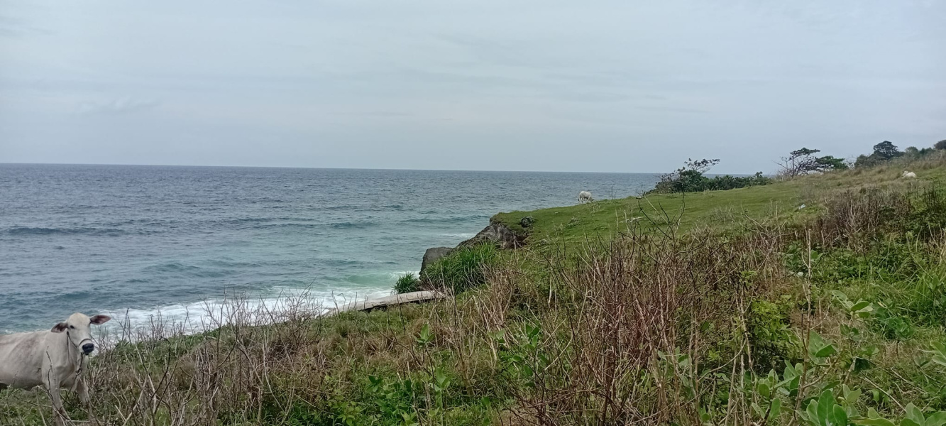 real estate; property, property for sale; property for lease; buying property in sumba; buying property in Indonesia; investment in sumba; investment in sumba; investment in Indonesia; buy property in Indonesia; buy property in sumba; beach for sale; island for lease;  Indonesia; Raja Ampat; West Papua; Yeben Kecil Island; sumba; prodej pozemků; pozemky na prodej; prodej pozemků Indonésie; nemovitosti; nemovitost na prodej; ostrov na pronájem; investice Hamili Ate Beach, koupě nemovitostíH amili Ate Beach; investice; ostrov; pronájem ostrova; land; pozemek; pozemky; Belitung; sumba investment; beach for sale; Bukambero Beach for sale