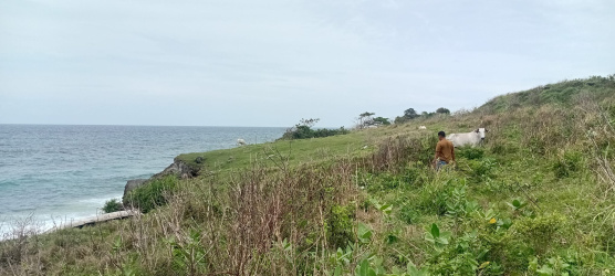 real estate; property, property for sale; property for lease; buying property in sumba; buying property in Indonesia; investment in sumba; investment in sumba; investment in Indonesia; buy property in Indonesia; buy property in sumba; beach for sale; island for lease;  Indonesia; Raja Ampat; West Papua; Yeben Kecil Island; sumba; prodej pozemků; pozemky na prodej; prodej pozemků Indonésie; nemovitosti; nemovitost na prodej; ostrov na pronájem; investice Hamili Ate Beach, koupě nemovitostíH amili Ate Beach; investice; ostrov; pronájem ostrova; land; pozemek; pozemky; Belitung; sumba investment; beach for sale; Bukambero Beach for sale