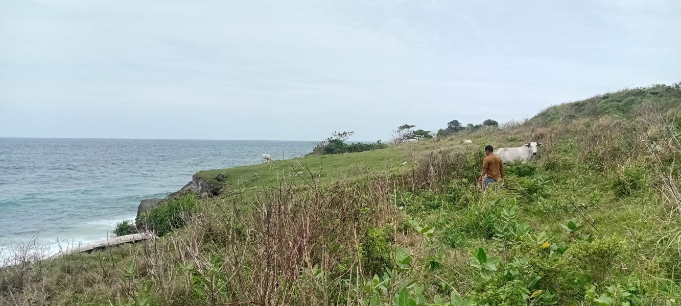 real estate; property, property for sale; property for lease; buying property in sumba; buying property in Indonesia; investment in sumba; investment in sumba; investment in Indonesia; buy property in Indonesia; buy property in sumba; beach for sale; island for lease;  Indonesia; Raja Ampat; West Papua; Yeben Kecil Island; sumba; prodej pozemků; pozemky na prodej; prodej pozemků Indonésie; nemovitosti; nemovitost na prodej; ostrov na pronájem; investice Hamili Ate Beach, koupě nemovitostíH amili Ate Beach; investice; ostrov; pronájem ostrova; land; pozemek; pozemky; Belitung; sumba investment; beach for sale; Bukambero Beach for sale