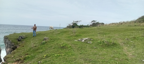 real estate; property, property for sale; property for lease; buying property in sumba; buying property in Indonesia; investment in sumba; investment in sumba; investment in Indonesia; buy property in Indonesia; buy property in sumba; beach for sale; island for lease;  Indonesia; Raja Ampat; West Papua; Yeben Kecil Island; sumba; prodej pozemků; pozemky na prodej; prodej pozemků Indonésie; nemovitosti; nemovitost na prodej; ostrov na pronájem; investice Hamili Ate Beach, koupě nemovitostíH amili Ate Beach; investice; ostrov; pronájem ostrova; land; pozemek; pozemky; Belitung; sumba investment; beach for sale; Bukambero Beach for sale