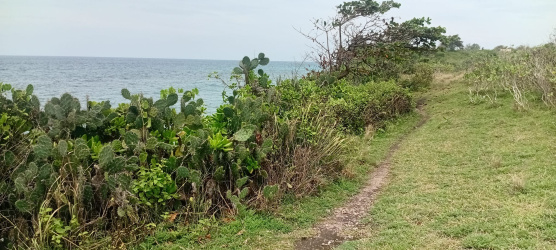 real estate; property, property for sale; property for lease; buying property in sumba; buying property in Indonesia; investment in sumba; investment in sumba; investment in Indonesia; buy property in Indonesia; buy property in sumba; beach for sale; island for lease;  Indonesia; Raja Ampat; West Papua; Yeben Kecil Island; sumba; prodej pozemků; pozemky na prodej; prodej pozemků Indonésie; nemovitosti; nemovitost na prodej; ostrov na pronájem; investice Hamili Ate Beach, koupě nemovitostíH amili Ate Beach; investice; ostrov; pronájem ostrova; land; pozemek; pozemky; Belitung; sumba investment; beach for sale; Bukambero Beach for sale