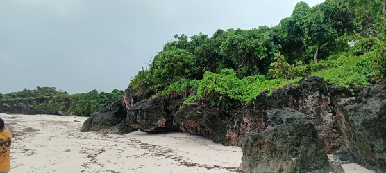 real estate; property, property for sale; property for lease; buying property in sumba; buying property in Indonesia; investment in sumba; investment in sumba; investment in Indonesia; buy property in Indonesia; buy property in sumba; beach for sale; island for lease;  Indonesia; Raja Ampat; West Papua; Yeben Kecil Island; sumba; prodej pozemků; pozemky na prodej; prodej pozemků Indonésie; nemovitosti; nemovitost na prodej; ostrov na pronájem; koupě nemovitostí; investice; ostrov; pronájem ostrova; land; pozemek; pozemky; Belitung; sumba investment; beach for sale; Sumba Beach for sale