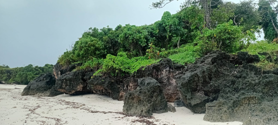 real estate; property, property for sale; property for lease; buying property in sumba; buying property in Indonesia; investment in sumba; investment in sumba; investment in Indonesia; buy property in Indonesia; buy property in sumba; beach for sale; island for lease;  Indonesia; Raja Ampat; West Papua; Yeben Kecil Island; sumba; prodej pozemků; pozemky na prodej; prodej pozemků Indonésie; nemovitosti; nemovitost na prodej; ostrov na pronájem; koupě nemovitostí; investice; ostrov; pronájem ostrova; land; pozemek; pozemky; Belitung; sumba investment; beach for sale; Sumba Beach for sale