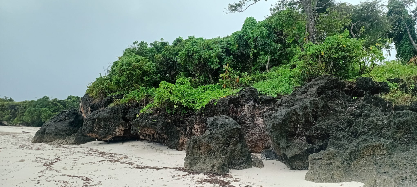 real estate; property, property for sale; property for lease; buying property in sumba; buying property in Indonesia; investment in sumba; investment in sumba; investment in Indonesia; buy property in Indonesia; buy property in sumba; beach for sale; island for lease;  Indonesia; Raja Ampat; West Papua; Yeben Kecil Island; sumba; prodej pozemků; pozemky na prodej; prodej pozemků Indonésie; nemovitosti; nemovitost na prodej; ostrov na pronájem; koupě nemovitostí; investice; ostrov; pronájem ostrova; land; pozemek; pozemky; Belitung; sumba investment; beach for sale; Sumba Beach for sale