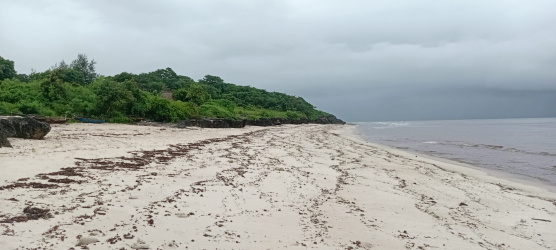 real estate; property, property for sale; property for lease; buying property in sumba; buying property in Indonesia; investment in sumba; investment in sumba; investment in Indonesia; buy property in Indonesia; buy property in sumba; beach for sale; island for lease;  Indonesia; Raja Ampat; West Papua; Yeben Kecil Island; sumba; prodej pozemků; pozemky na prodej; prodej pozemků Indonésie; nemovitosti; nemovitost na prodej; ostrov na pronájem; koupě nemovitostí; investice; ostrov; pronájem ostrova; land; pozemek; pozemky; Belitung; sumba investment; beach for sale; Sumba Beach for sale